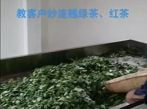 連翹綠、紅茶全套加工設(shè)備