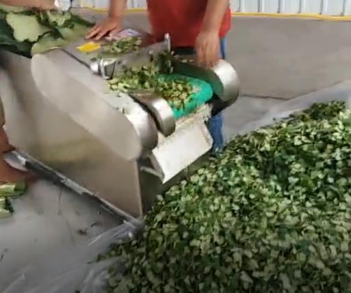 荷葉茶全套炒茶設(shè)備