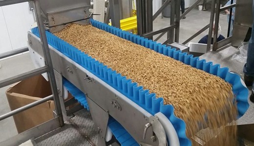 <a href='http://www.m1301.cn' target='_blank'><u>電子皮帶秤</u></a>有新意，也有逃不開的老問題