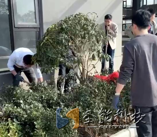 “植”此青綠，添彩圣能靜待花開(kāi)